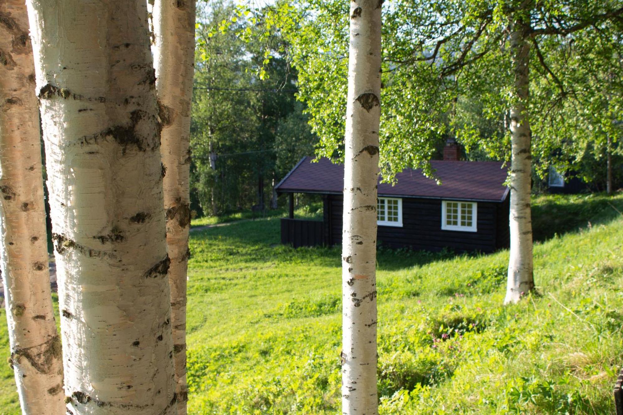 Ljoshaugen Camping Домбас Экстерьер фото